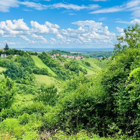 Kuca Za Odmor Bajka Villa Jastrebarsko Dış mekan fotoğraf