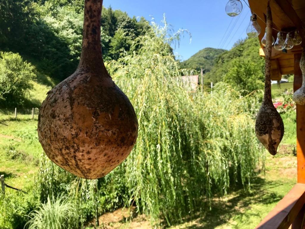 Kuca Za Odmor Bajka Villa Jastrebarsko Dış mekan fotoğraf