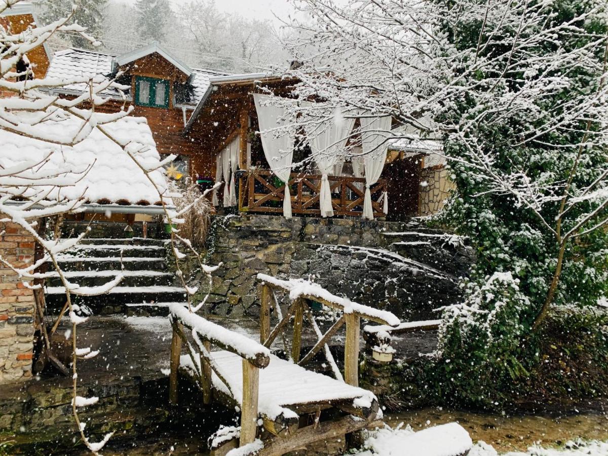 Kuca Za Odmor Bajka Villa Jastrebarsko Dış mekan fotoğraf