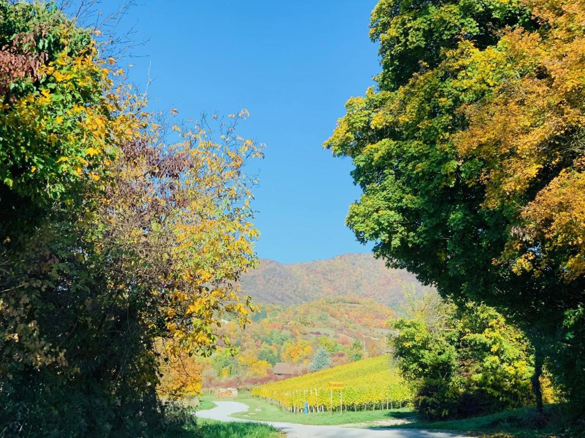 Kuca Za Odmor Bajka Villa Jastrebarsko Dış mekan fotoğraf