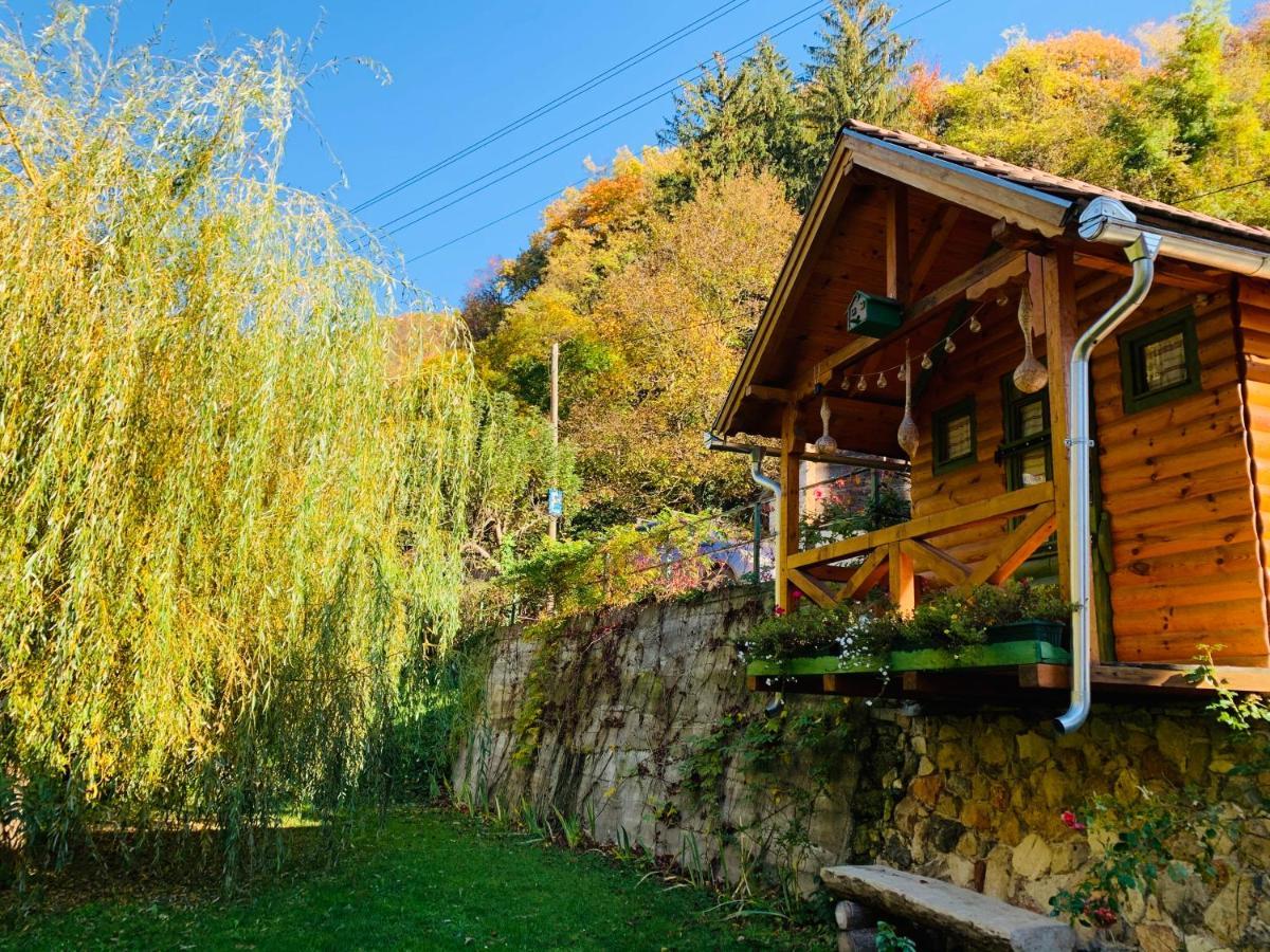 Kuca Za Odmor Bajka Villa Jastrebarsko Dış mekan fotoğraf